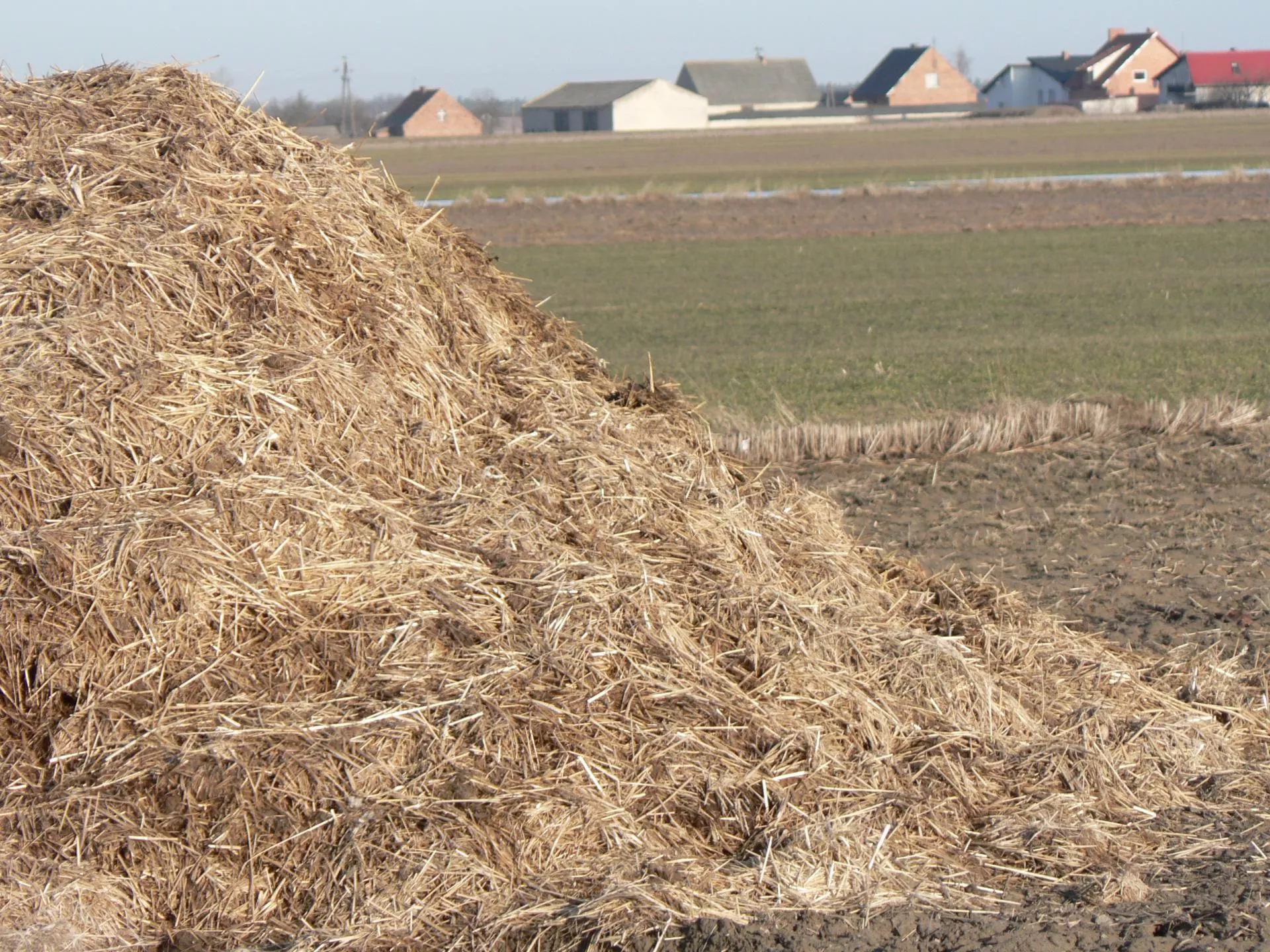 Nawet 4400 zł kary. Rolnik ma 3 miesiące, żeby jej uniknąć