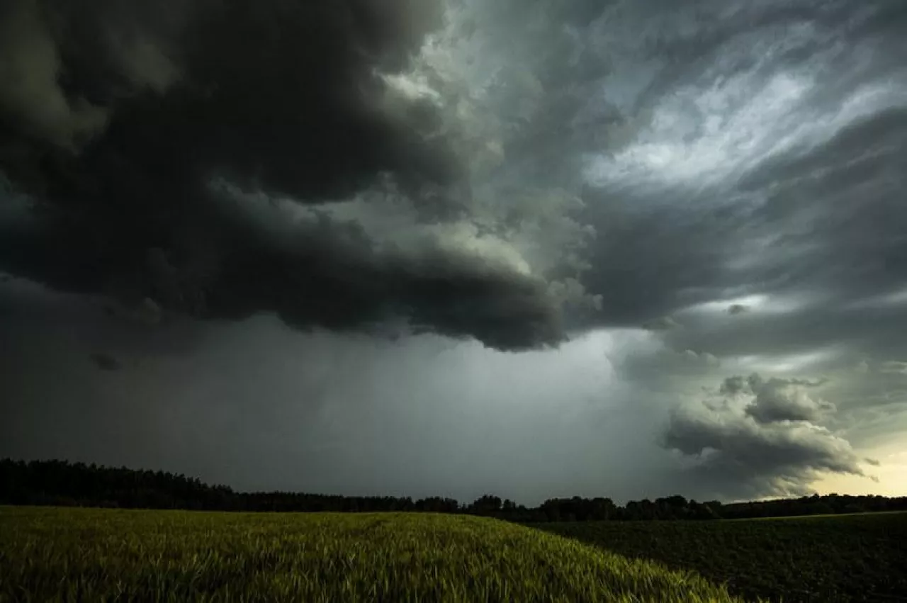 Chiny sztucznie generują opady, aby przeciwdziałać suszy w pszenicy. Jaką techniką?