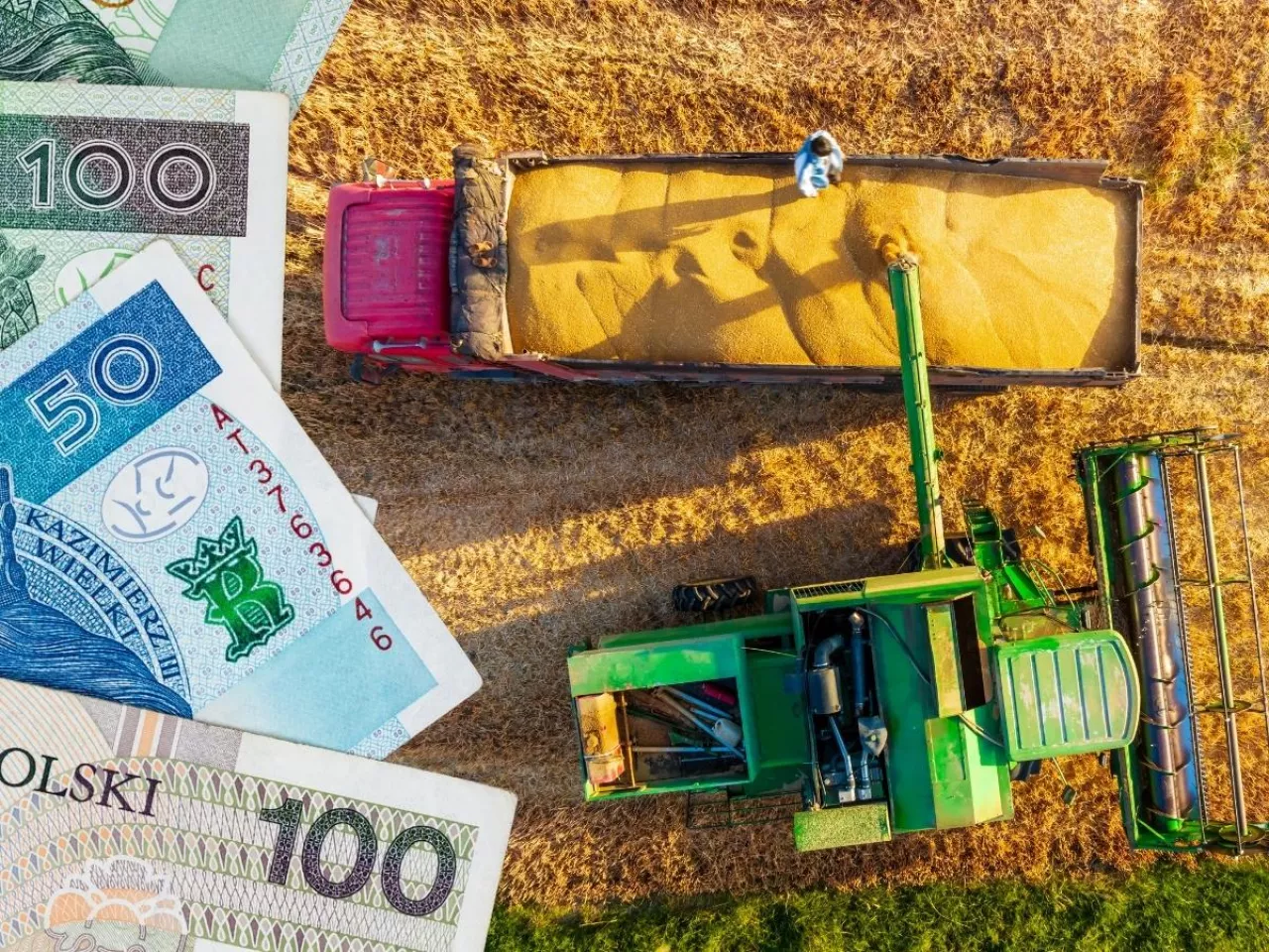 Kto i kiedy może skorzystać ze zwolnienia z podatku rolnego?