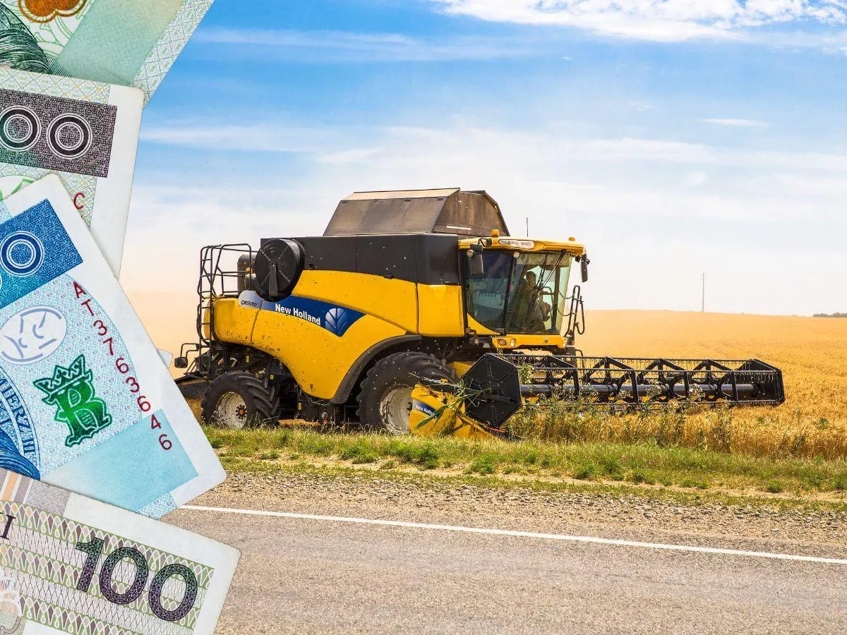 Jakie ceny jęczmienia przed żniwami 2025? [SONDA]