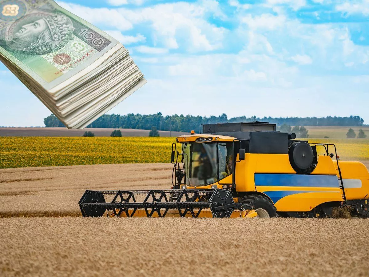 Ile za kombajn? Ceny koszenia zboża w żniwa 2025