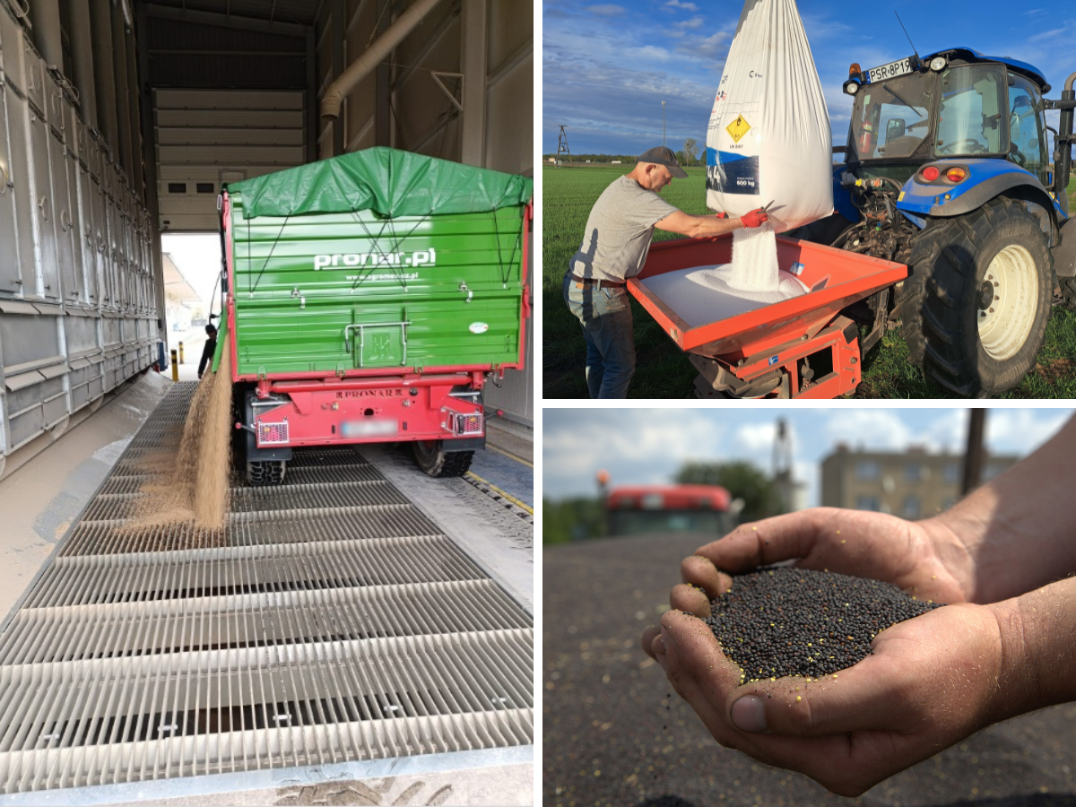 Pszenica spokojna, nawozy nie. Jak rynki rolne reagują na Bliski Wschód?