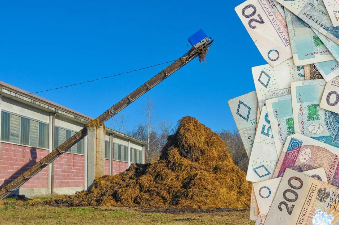 Nabór wniosków przez ARiMR na płyty obornikowe i nie tylko