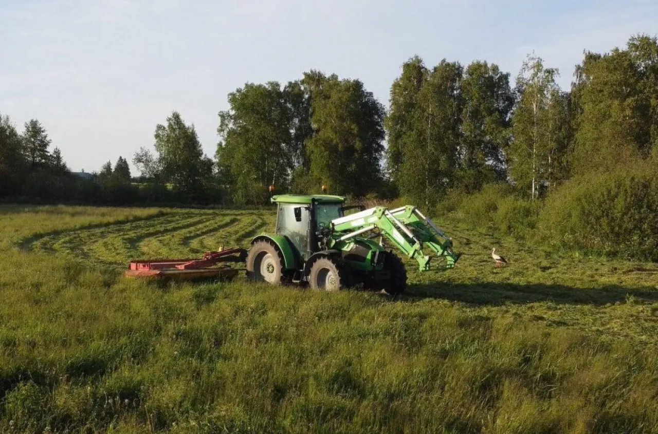 Zwinny i dzielny. Ten ciągnik to hit rynku wtórnego. Jaka cena?