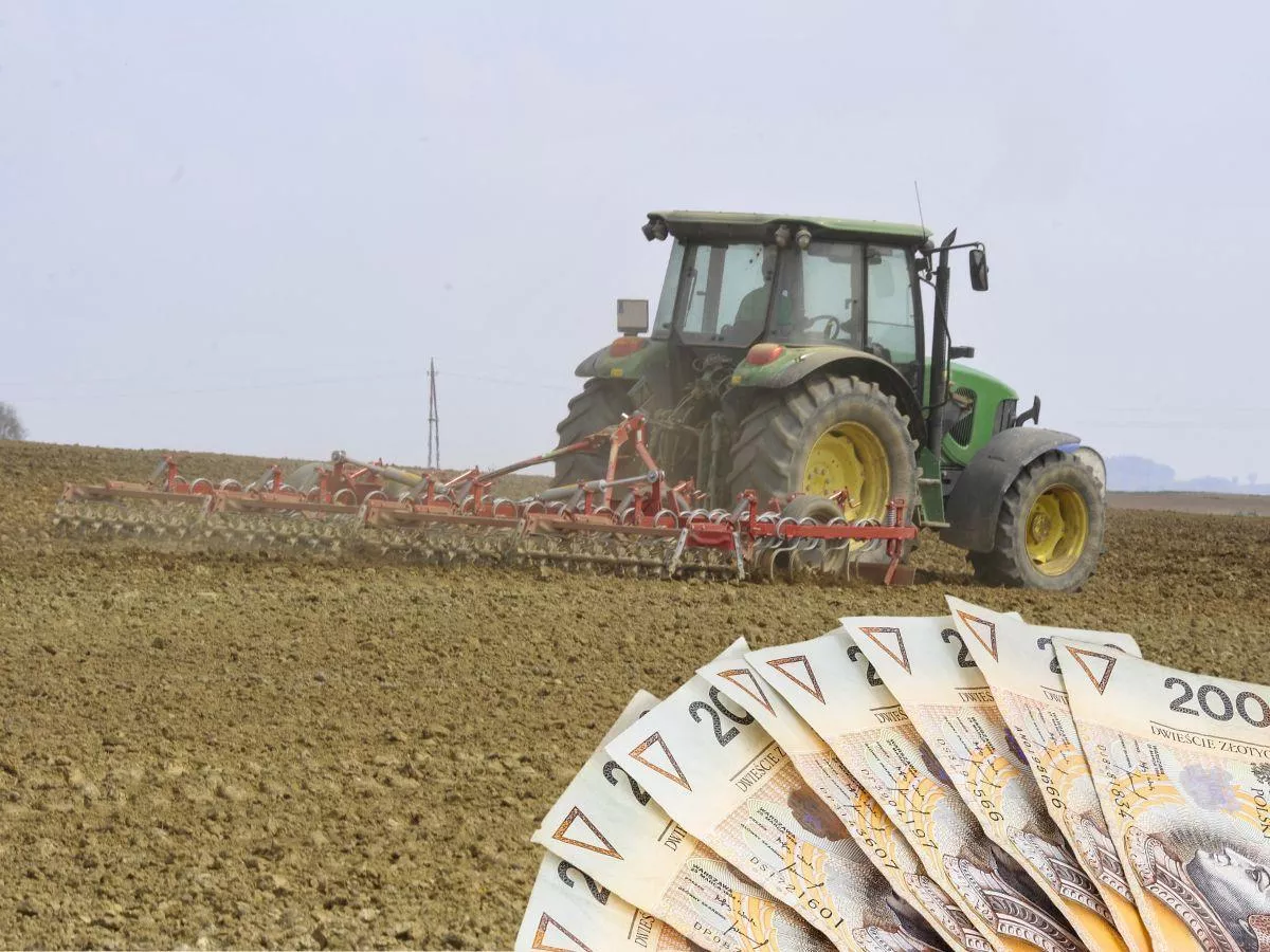 Nawet 3200 zł za hektar ziemi. Jakie są czynsze dzierżawne w każdym województwie?