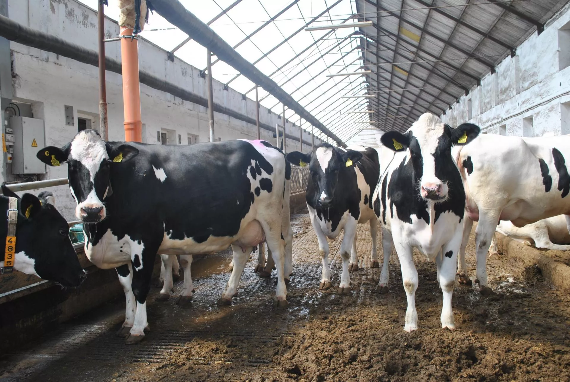 Rolnik alarmuje: wydajność mogła być sztucznie zawyżana. „To musi zostać wyjaśnione”