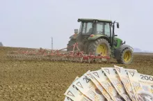 Nawet 3200 zł za hektar ziemi. Jakie są czynsze dzierżawne w każdym województwie?