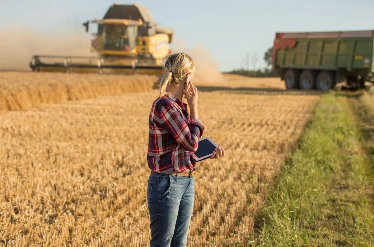 Koniunktura w rolnictwie - jest lepiej?