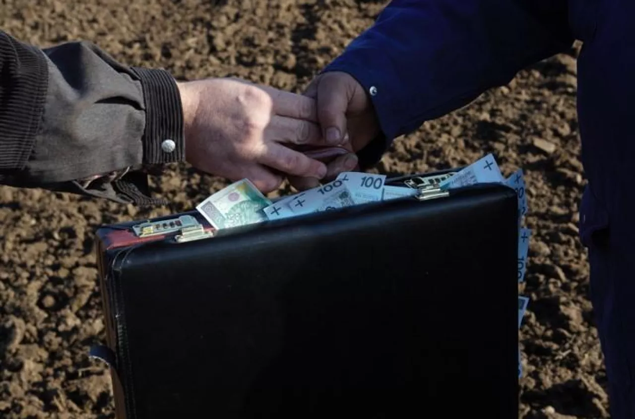 Zakup ziemi rolnej: na co musi uważać rolnik?