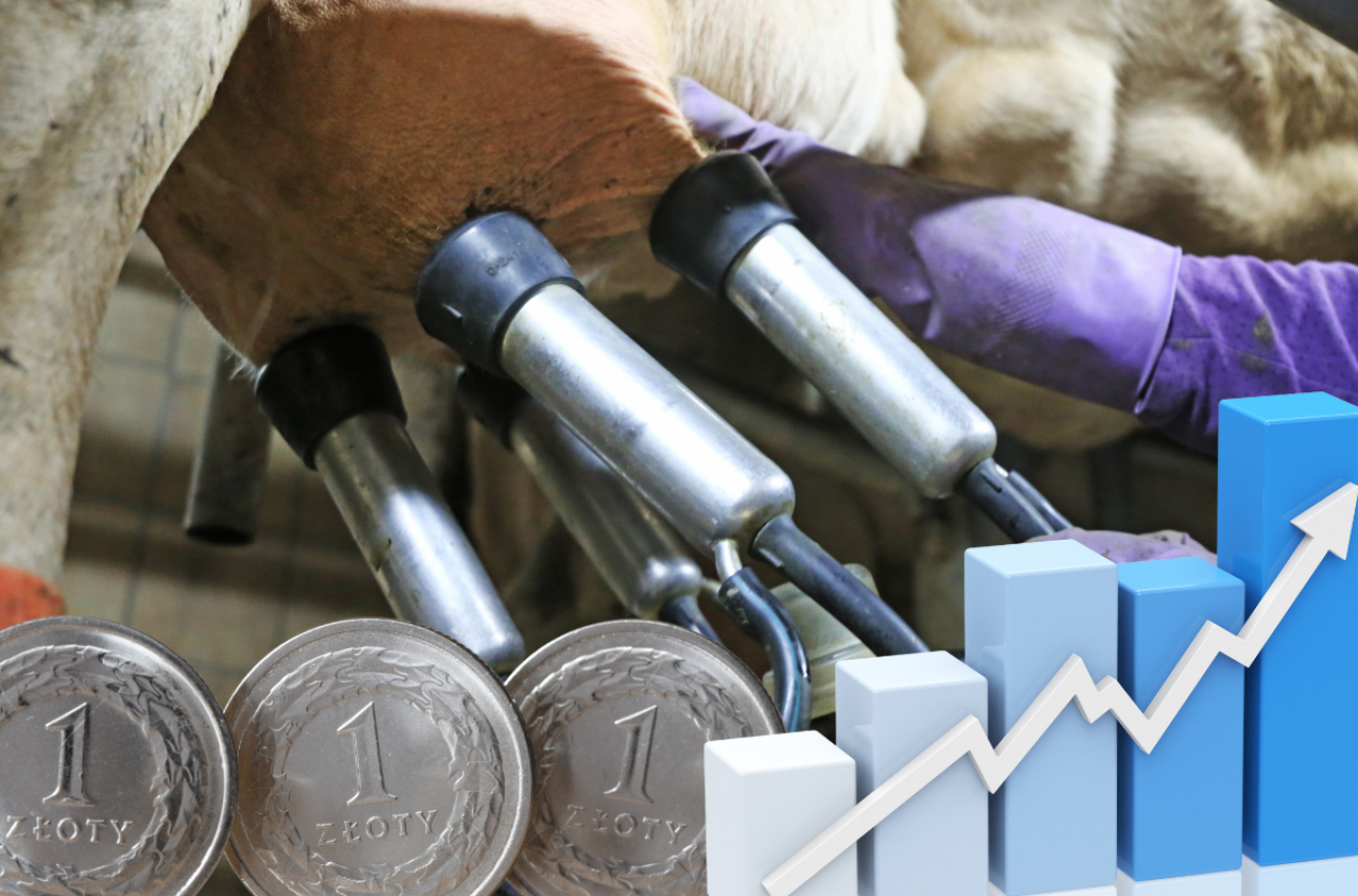 Ceny mleka będą rosły. Analitycy nie mają wątpliwości