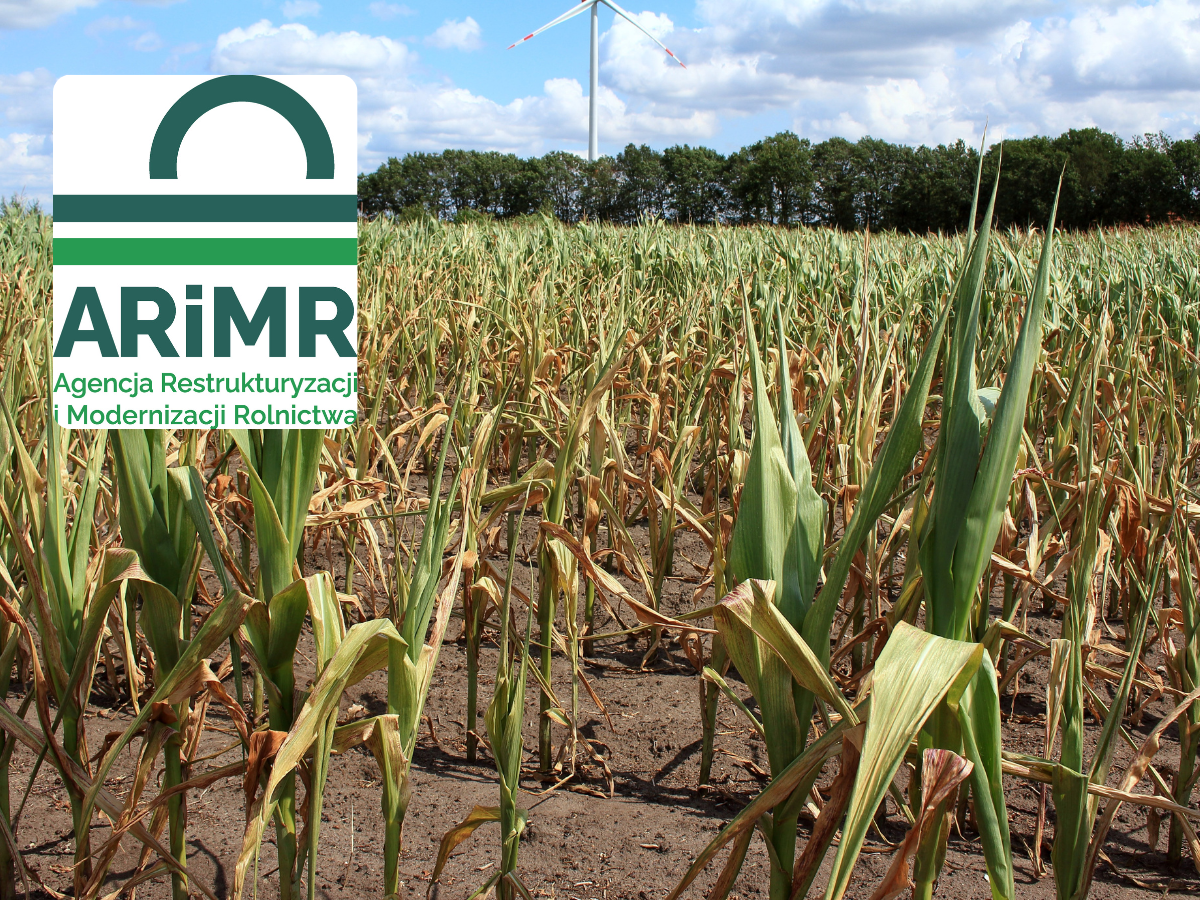 Nawet 3000 zł do hektara. ARiMR wypłaca rolnikom odszkodowania