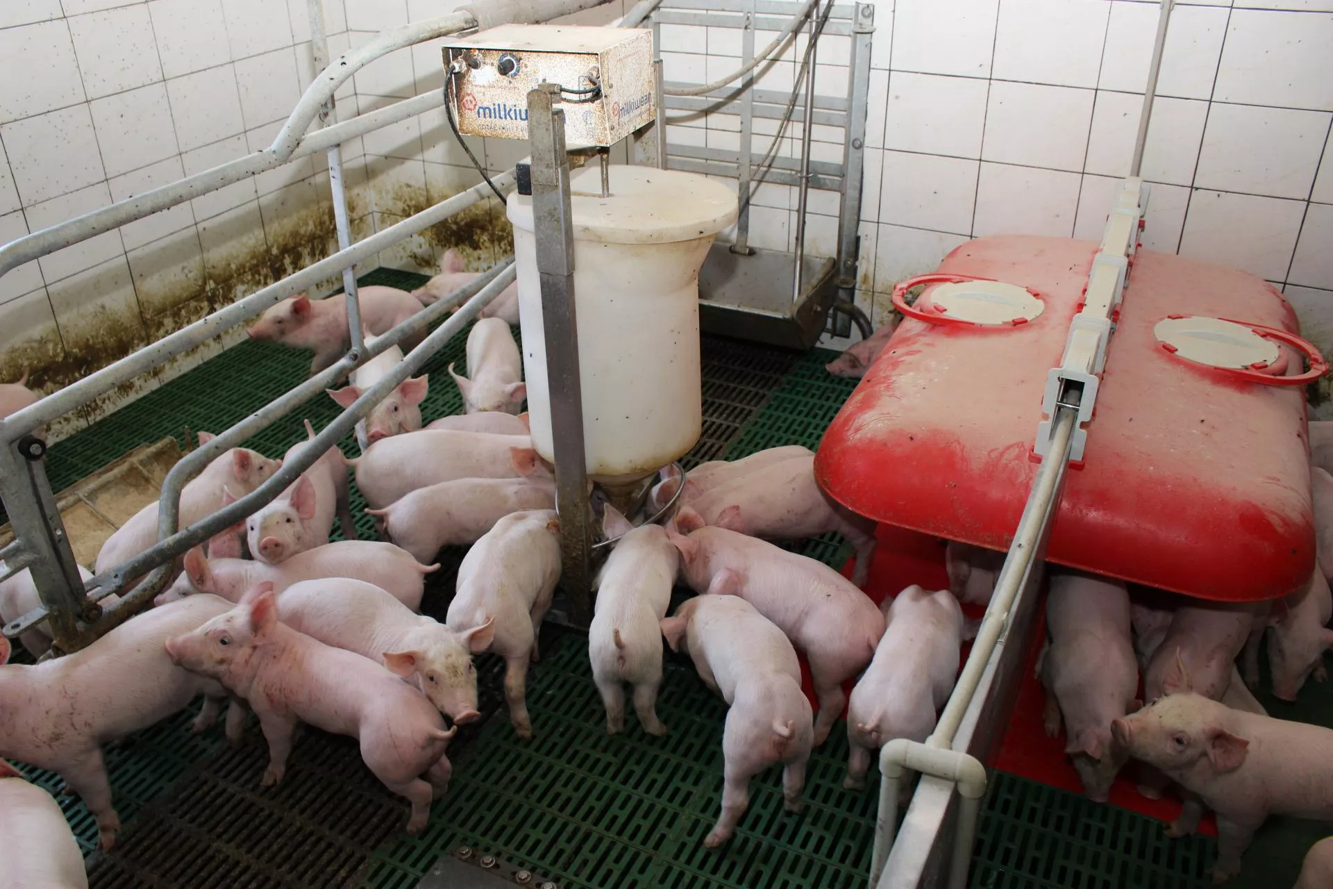 200 tys. zł na nowoczesne technologie. Ruszył nabór w ARiMR, ale rolnicy mają mało czasu