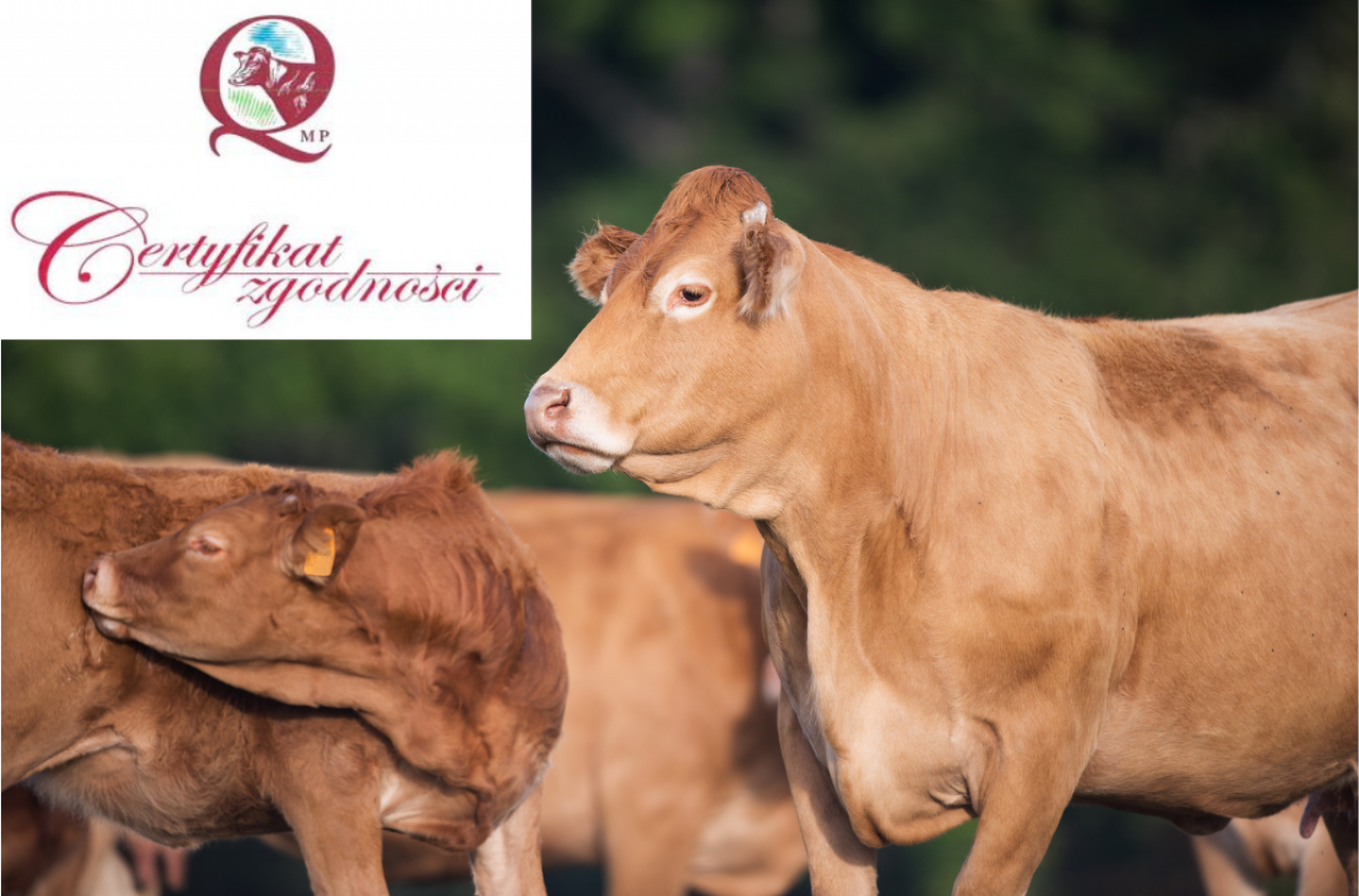 Absurd w przepisach. Rolnicy tracą dopłaty przez pośredników