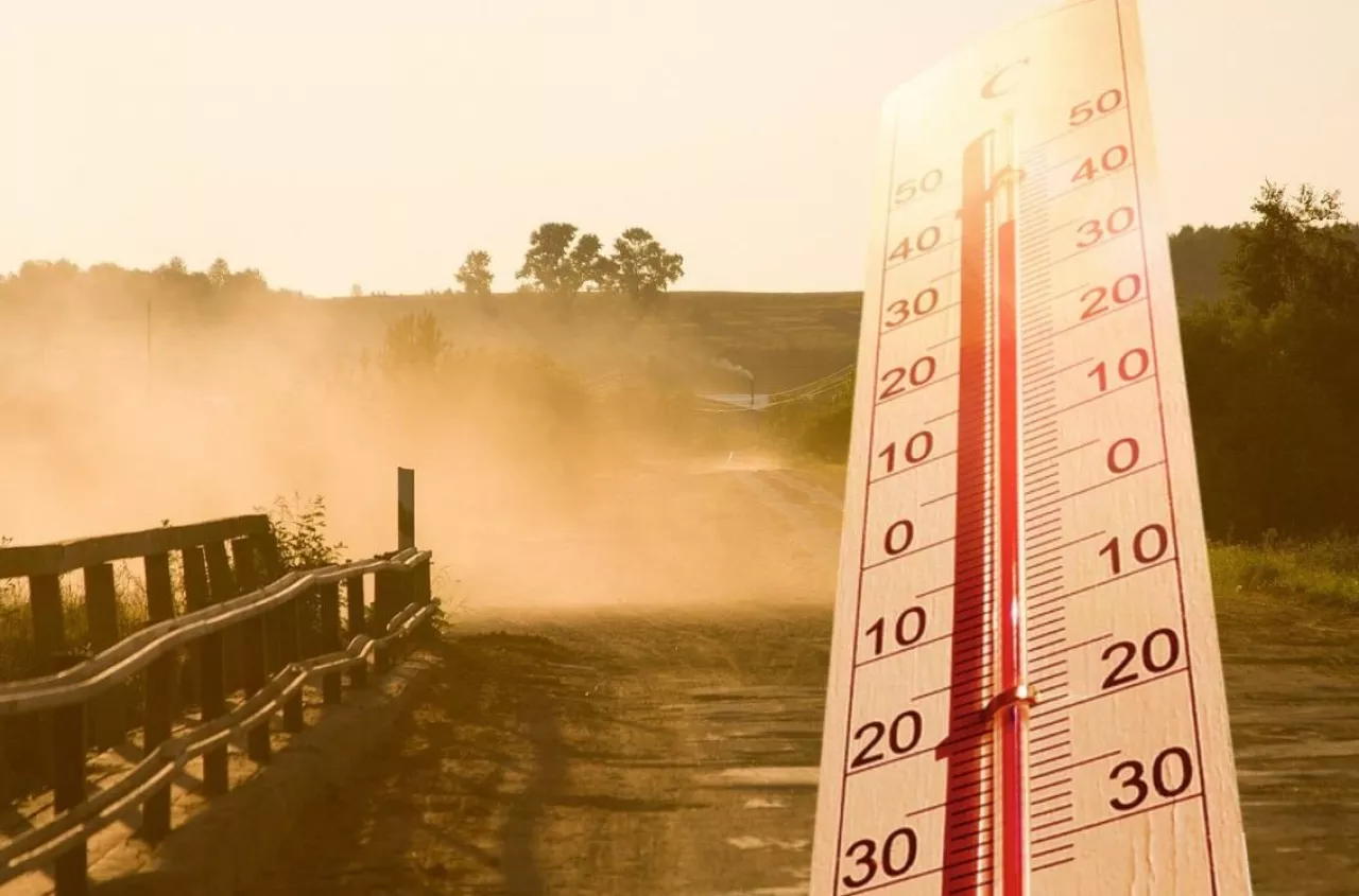 Uwaga na upały. KRUS radzi rolnikom, jak przetrwać w polu i oborze