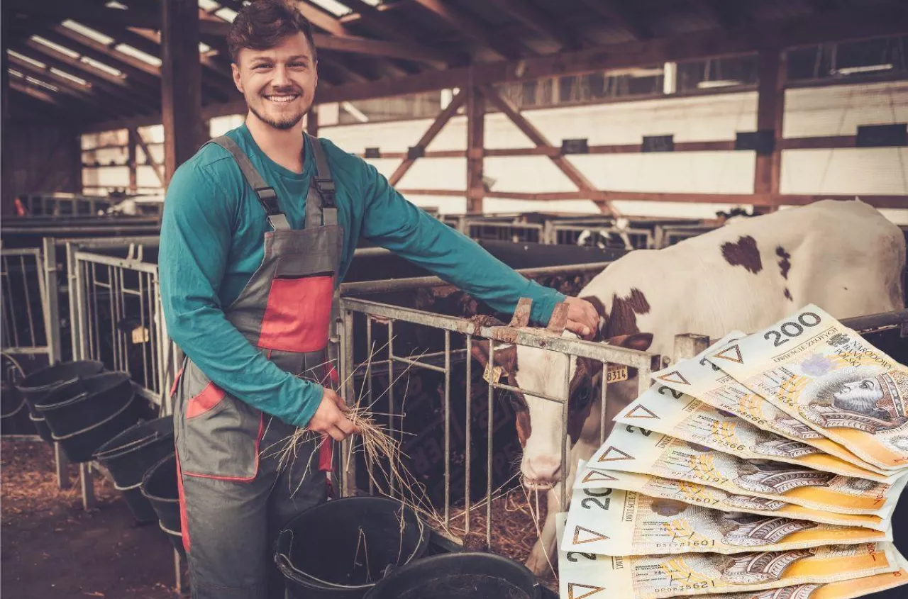 200 tys. zł dla rolnika. ARiMR radzi, jak nie popełnić błędu we wniosku [WIDEO]
