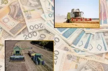 Ile Elewarry zapłacą rolnikom za zboże i rzepak? Są pierwsze ceny na nowy sezon