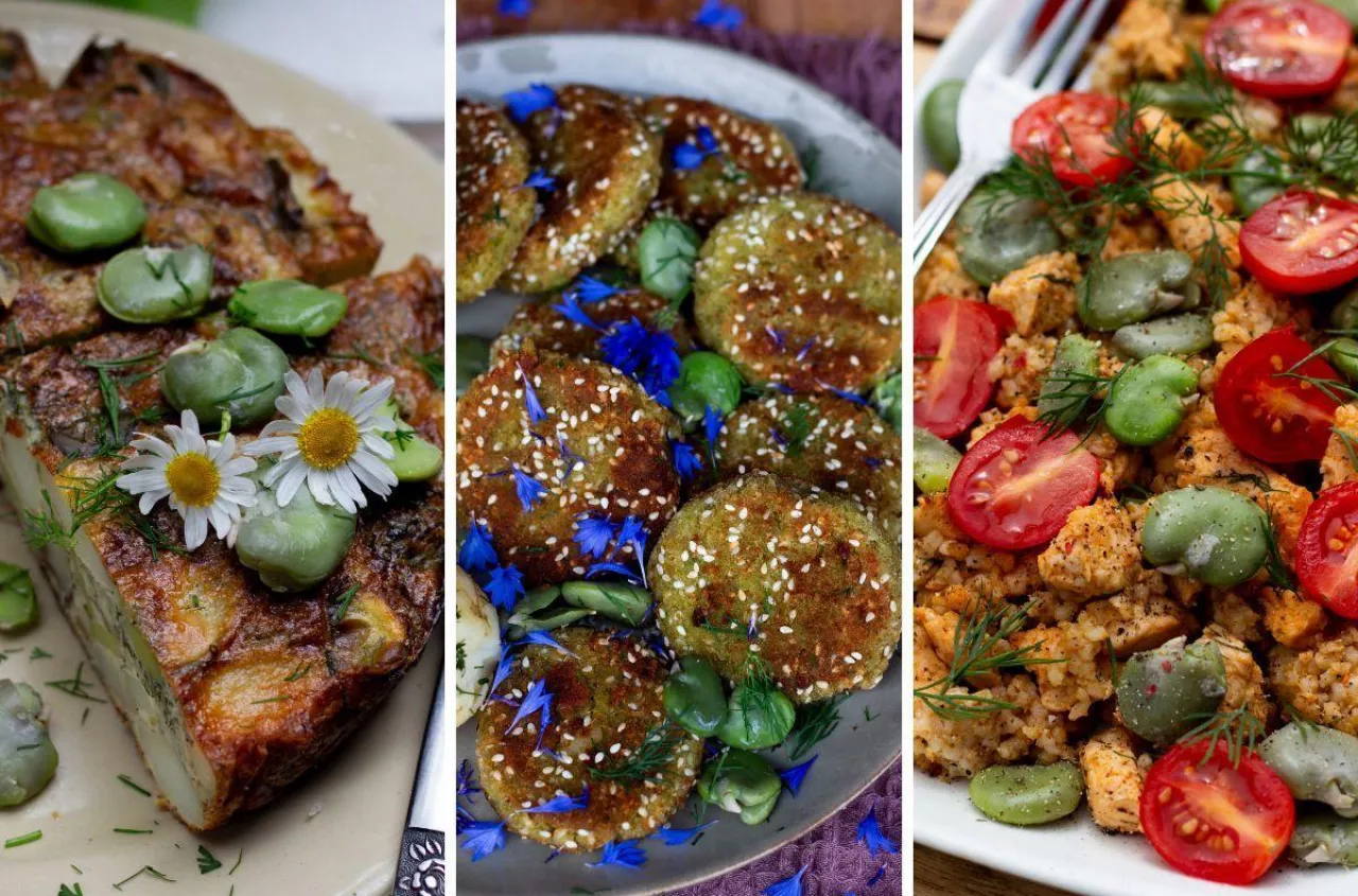 Sprawdzone przepisy na dania z bobu