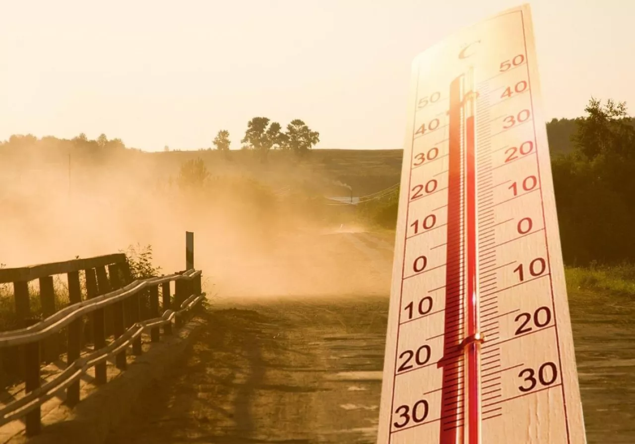 Uwaga na upały. KRUS radzi rolnikom, jak przetrwać w polu i oborze