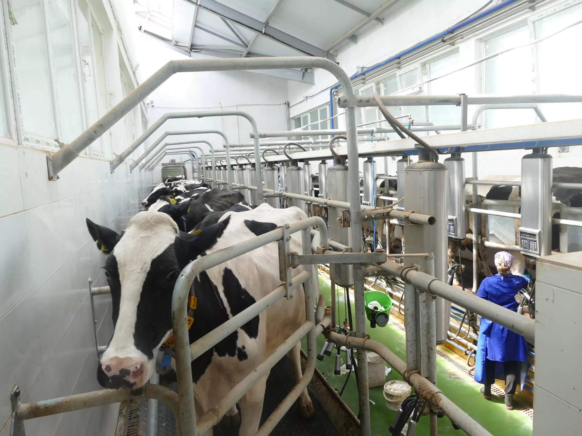 UE otwiera rynek na mleko z Ukrainy. Masło tańsze o 1000 euro/t