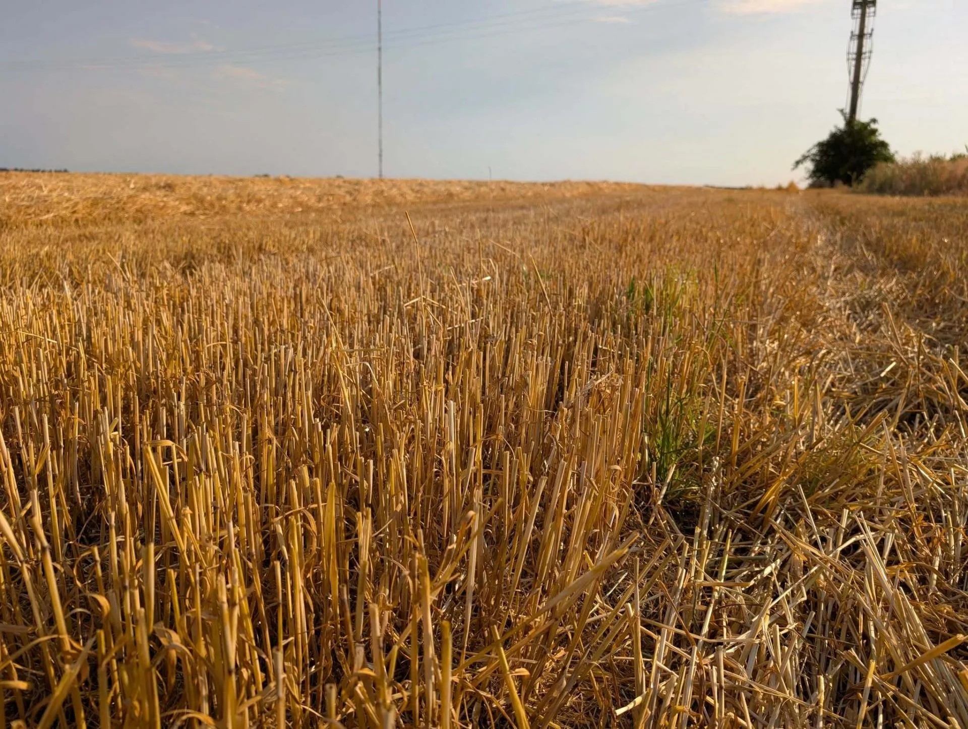 Rolnik uprawia ziemię po zakończeniu dzierżawy. Czy ma prawo do zasiedzenia?