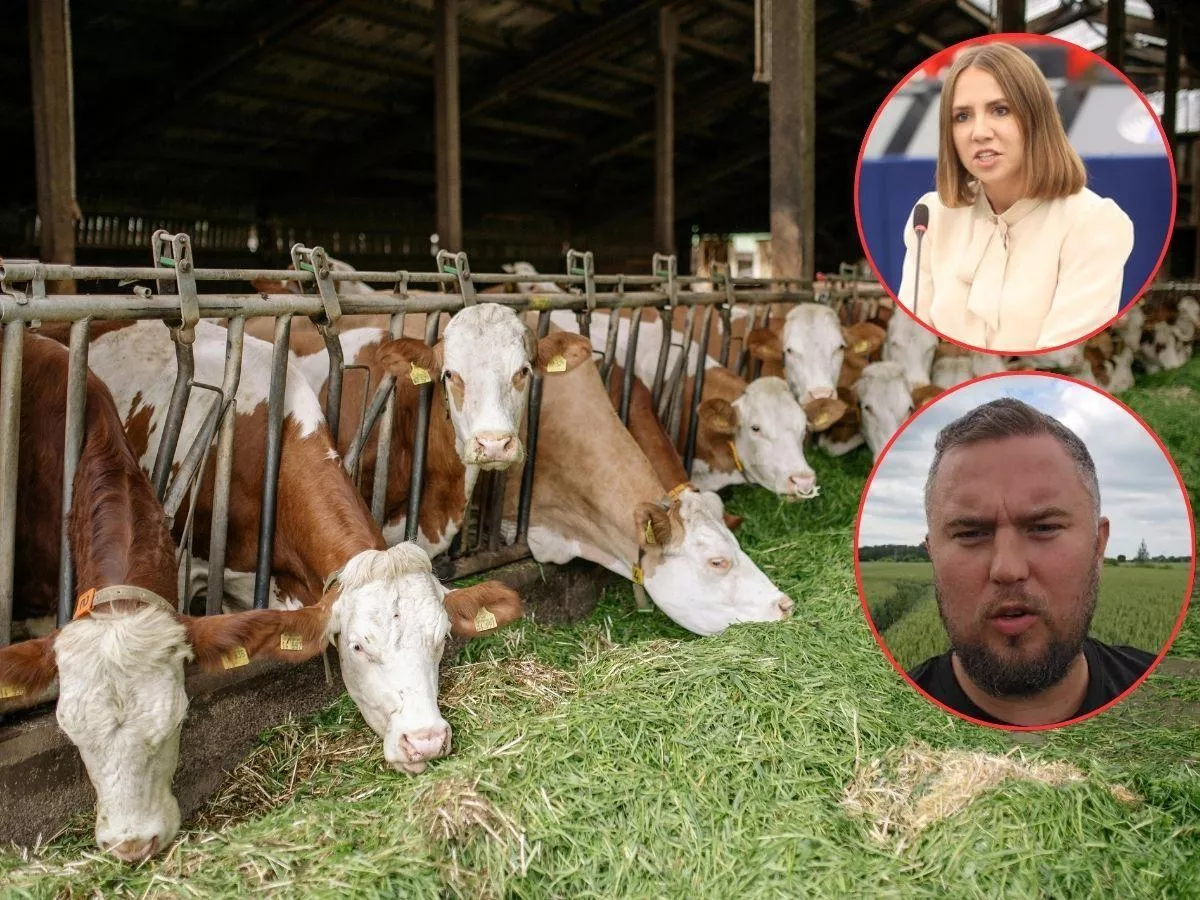 Rolnicy załamani nowym planem KE. "Nawozy i paliwo drogie, a teraz jeszcze to?”