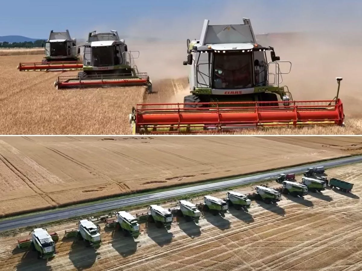 Gigantyczne żniwa jęczmienia. 10 kombajnów i 20 traktorów na jednym polu [WIDEO]