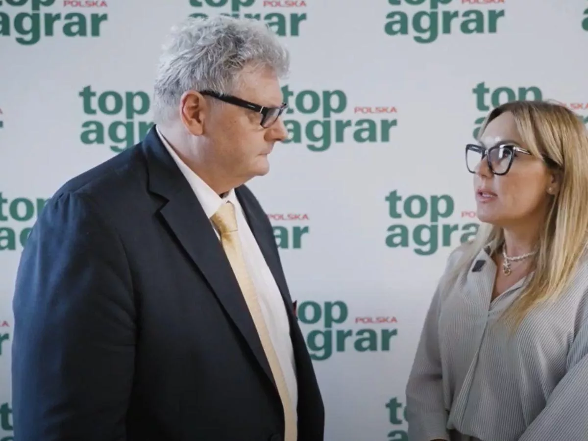 Rzepak z Ukrainy jedzie do Niemiec, a polskie zakłady tracą [WIDEO]