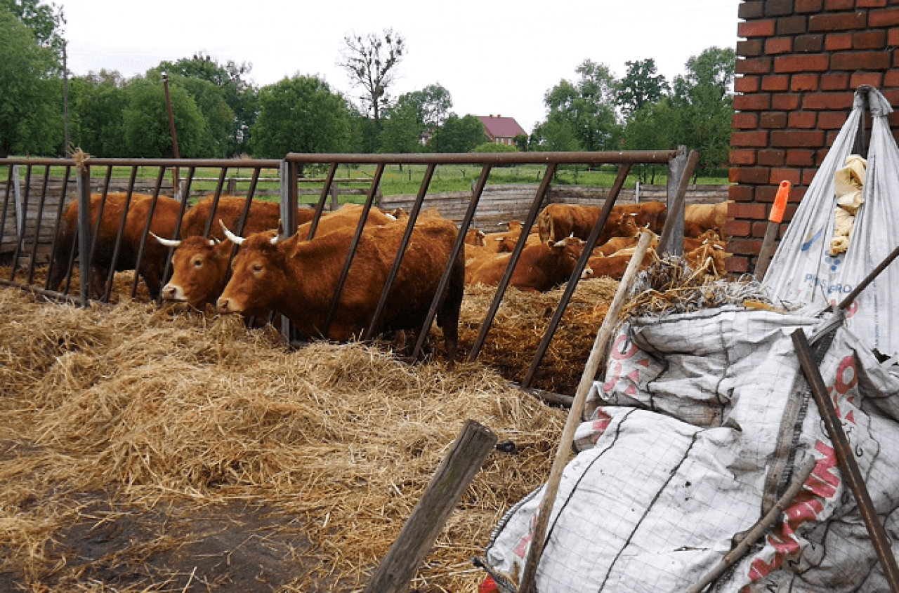 Rolnik musi się spowiadać, choć ma mało odpadów. Absurdalny obowiązek zniknie?