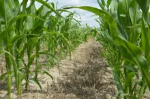 ”Razem budujemy przyszłość polskiego rolnictwa” – to hasło firmy, która od lat dostarcza polskim rolnikom sprawdzone i nowoczesne rozwiązania. Firma zapowiada w komunikacie, że dziś idzie o krok dalej.