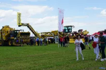 Zebrali ponad 100 ton buraków z hektara. Radość psuje groźny szkodnik