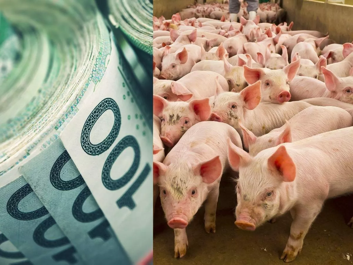 200 tys. zł dotacji na rolnictwo 4.0. Co rolnik może kupić? [LISTA]