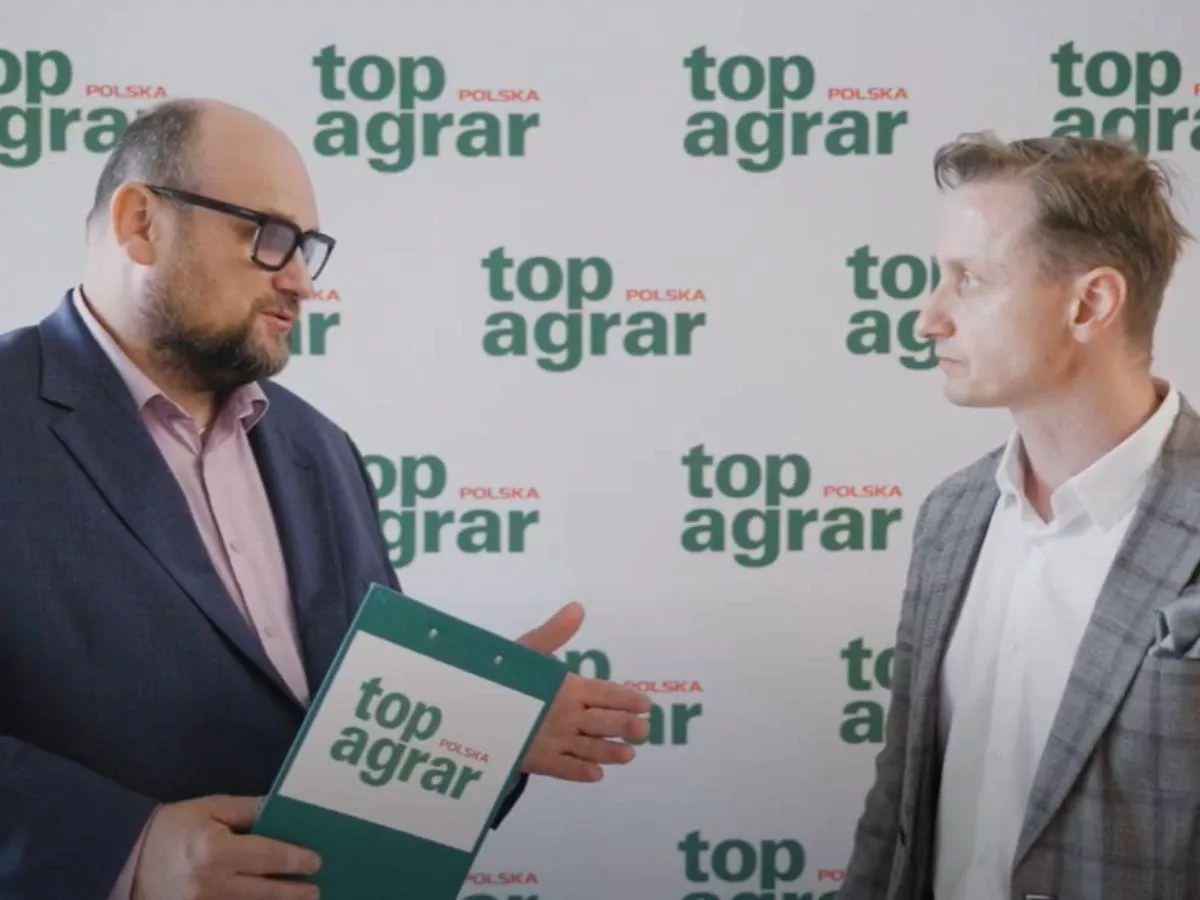 Jaka cena rzepaku po żniwach? Ekspert mówi, czego się spodziewać [WIDEO]