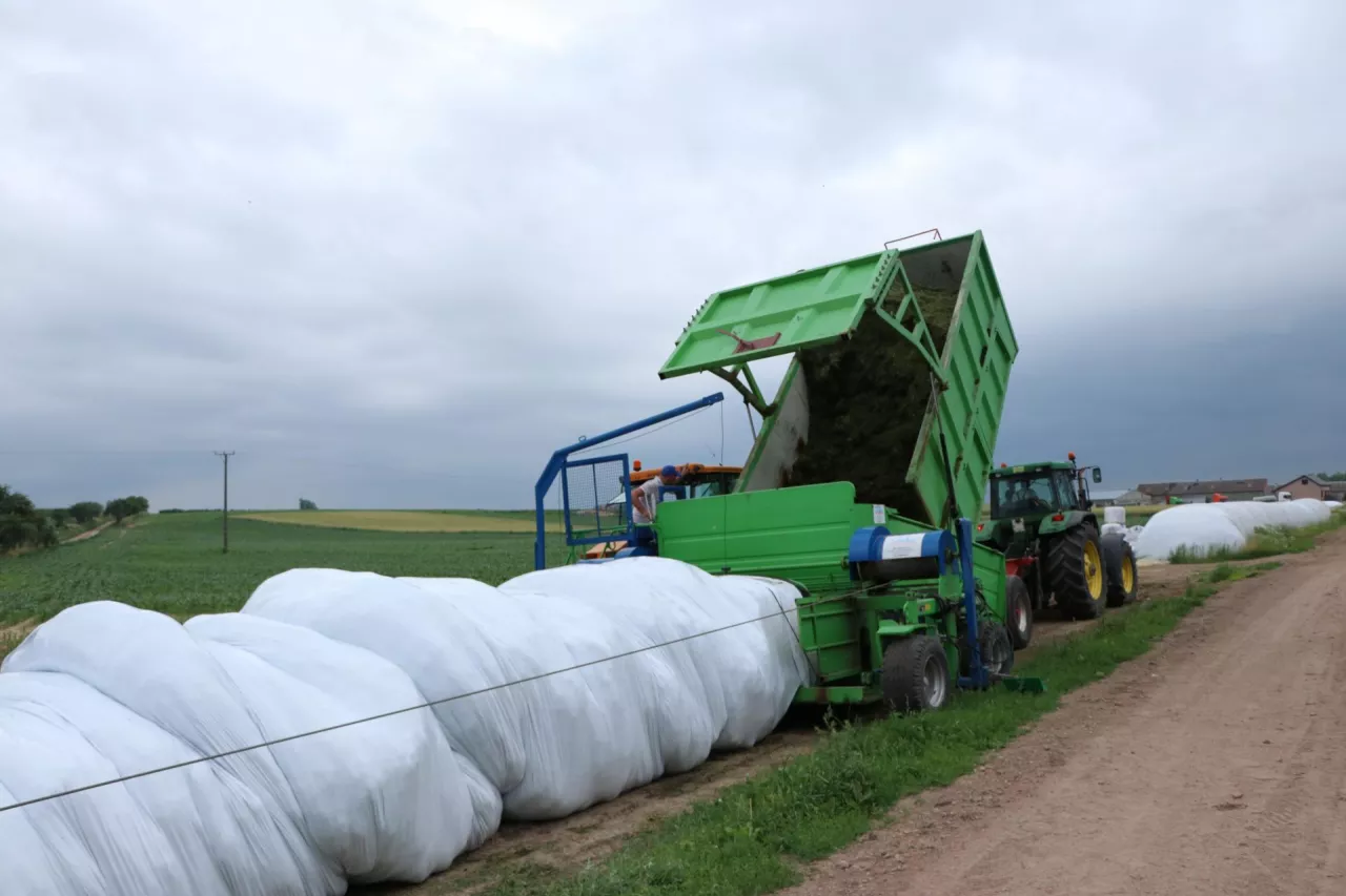 Z technologii elastycznego magazynowania pasz w rękawach foliowych korzysta coraz więcej hodowców, a w przypadku przechowywania zbóż także podmioty prowadzące skup i handel zbożami i wytwarzające pasze czy bioetanol.