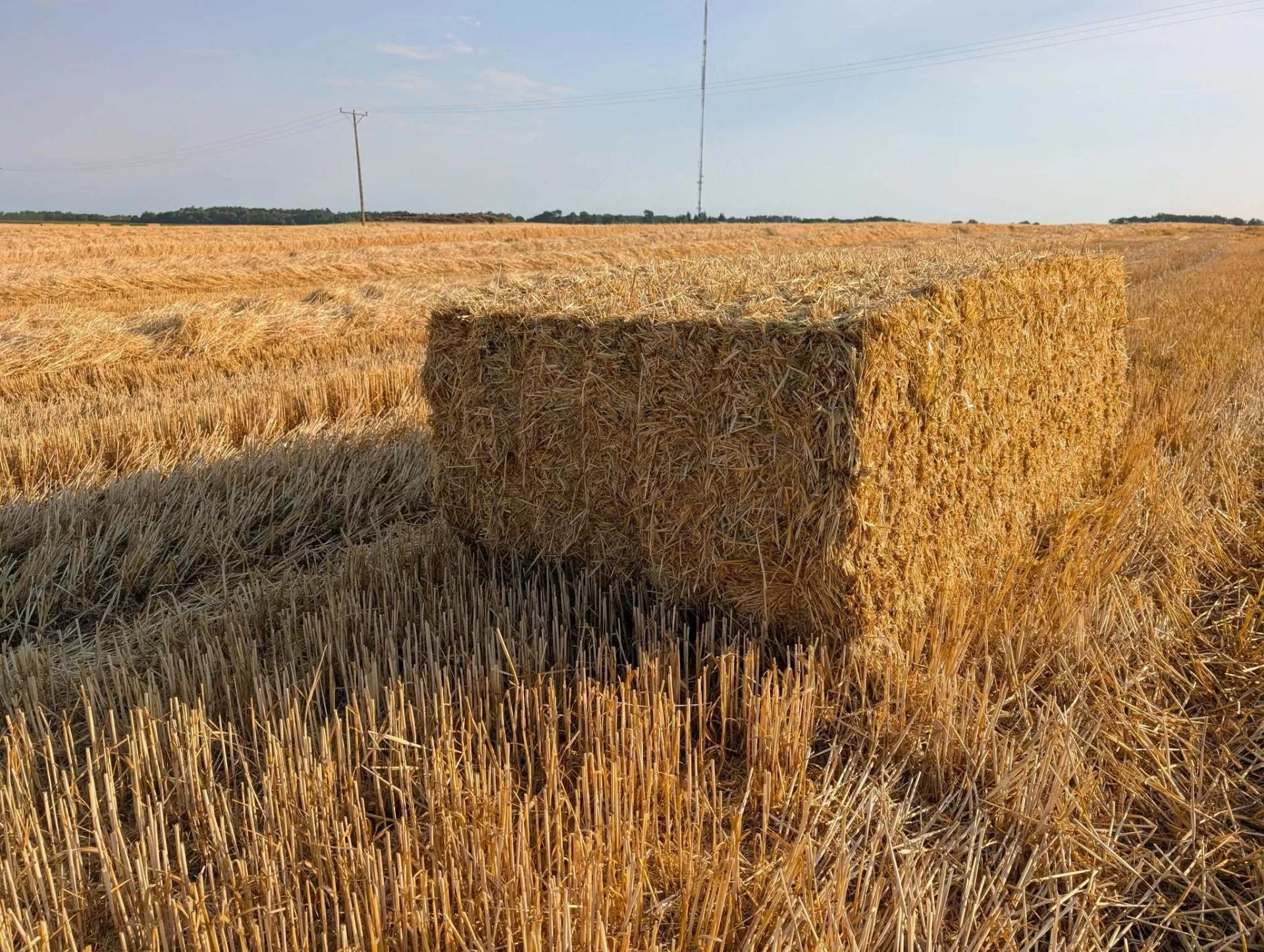 Jaka kara dla rolnika za bezumowne użytkowanie ziemi z KOWR?