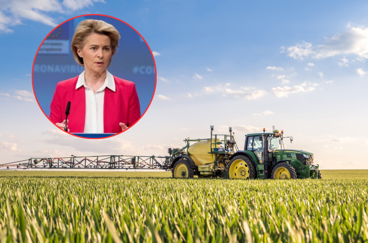 Cięcia w dopłatach dla rolników? Europoseł ostrzega: choćby 30 procent