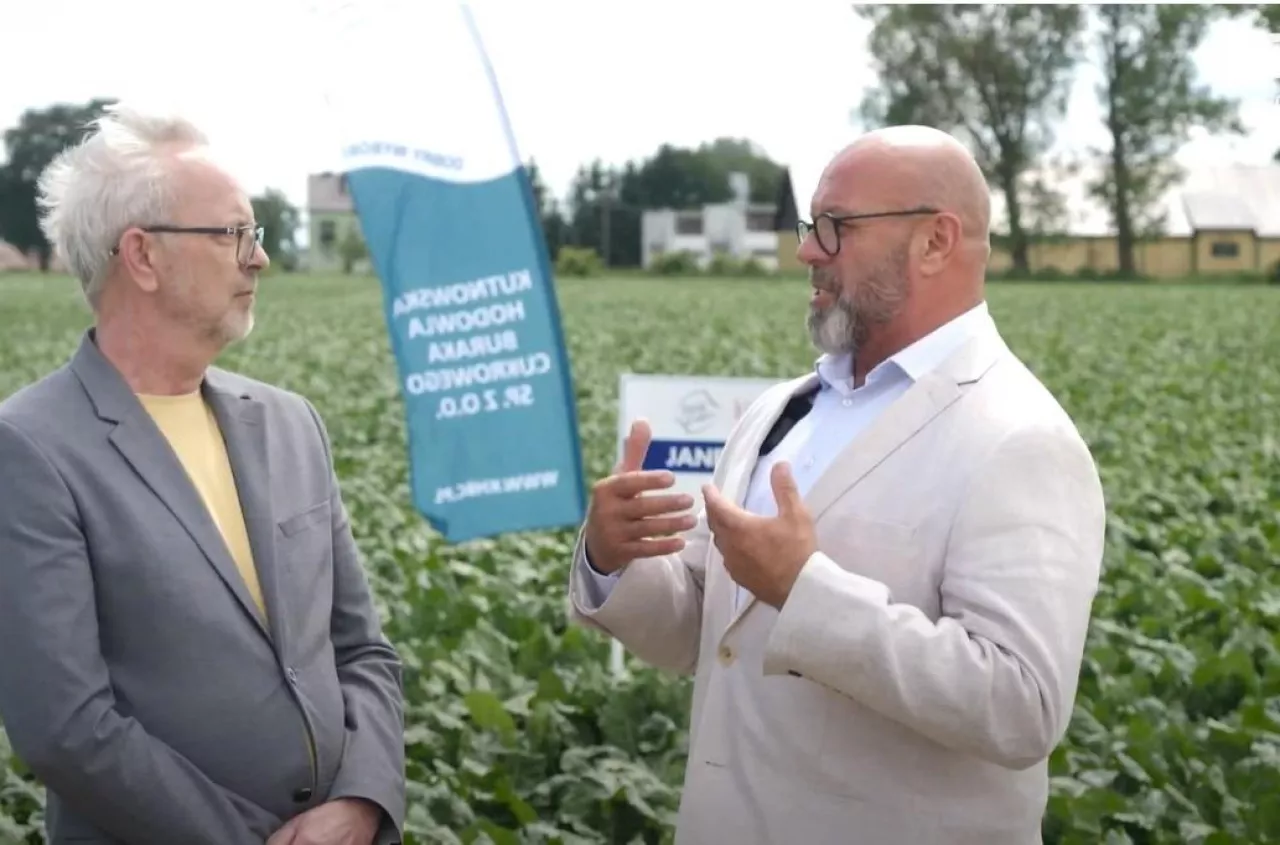 Nowe odmiany buraka cukrowego z KHBC. Dlaczego warto je wybrać? [WIDEO]