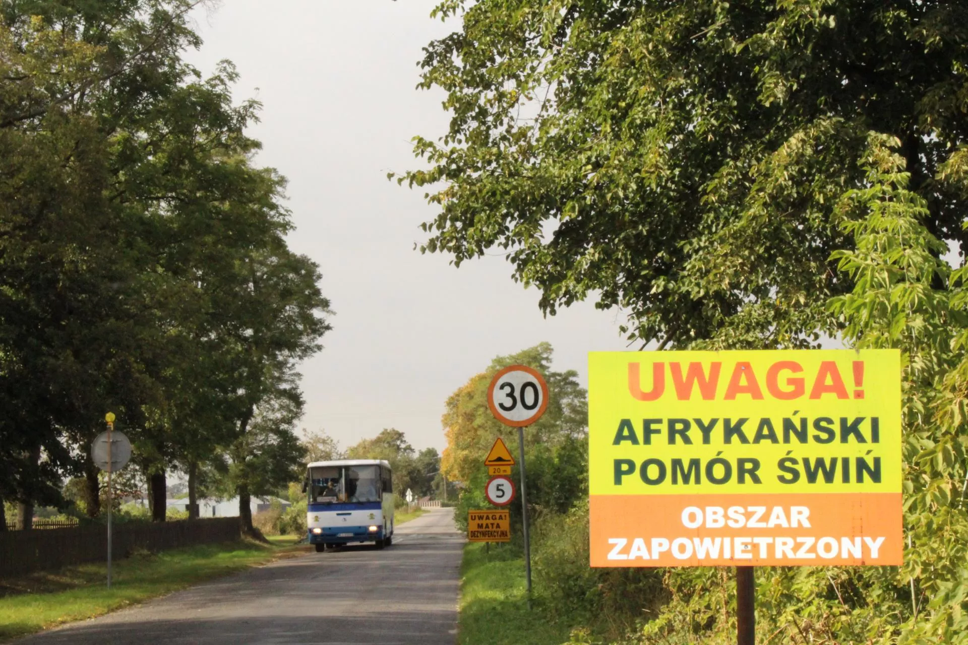 Jest czwarte ognisko ASF w Polsce. Wirus się rozpędza