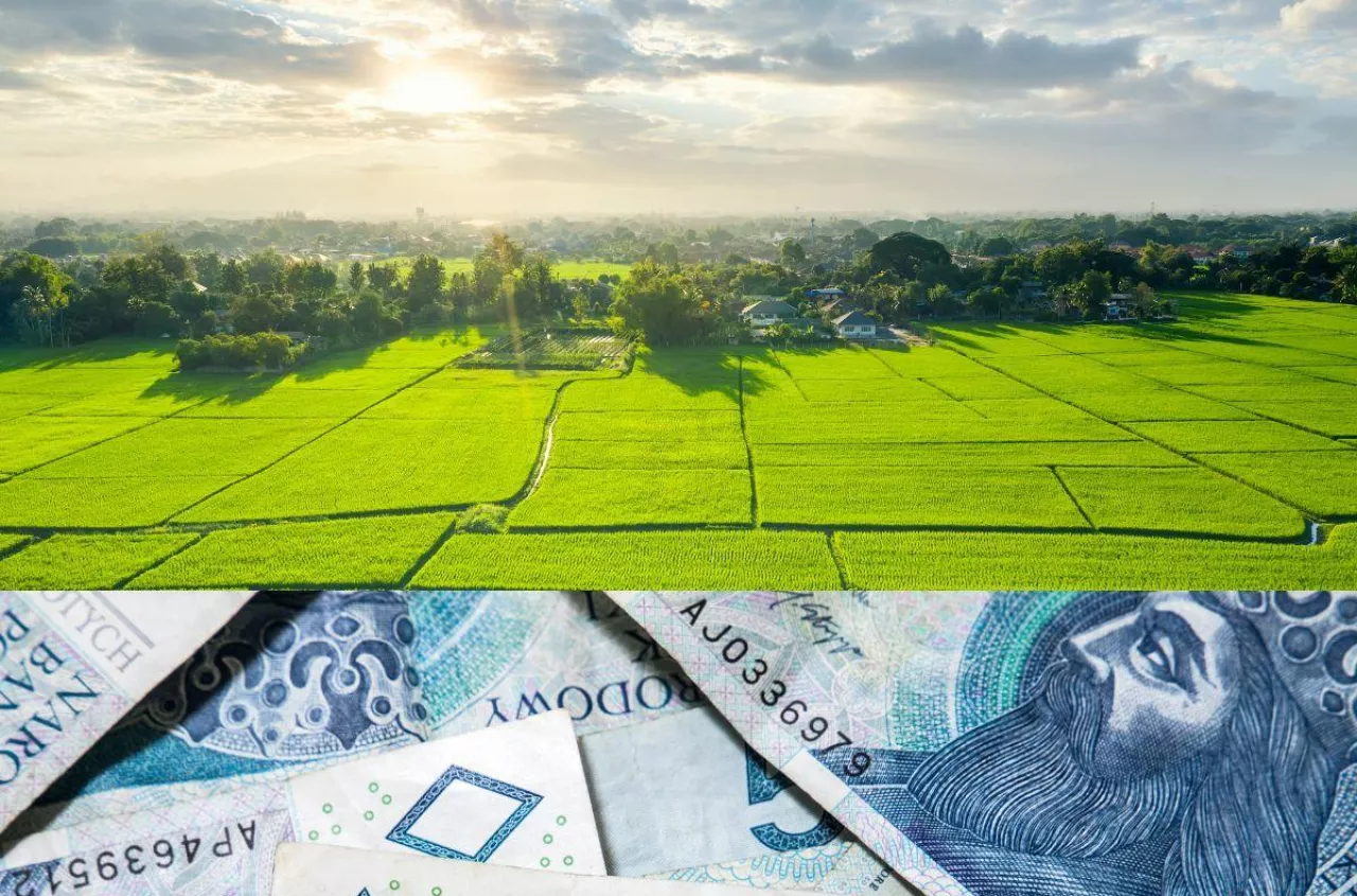 Rolnicy sprzedają ziemię? Sprawdzamy dane o obrocie nieruchomościami rolnymi