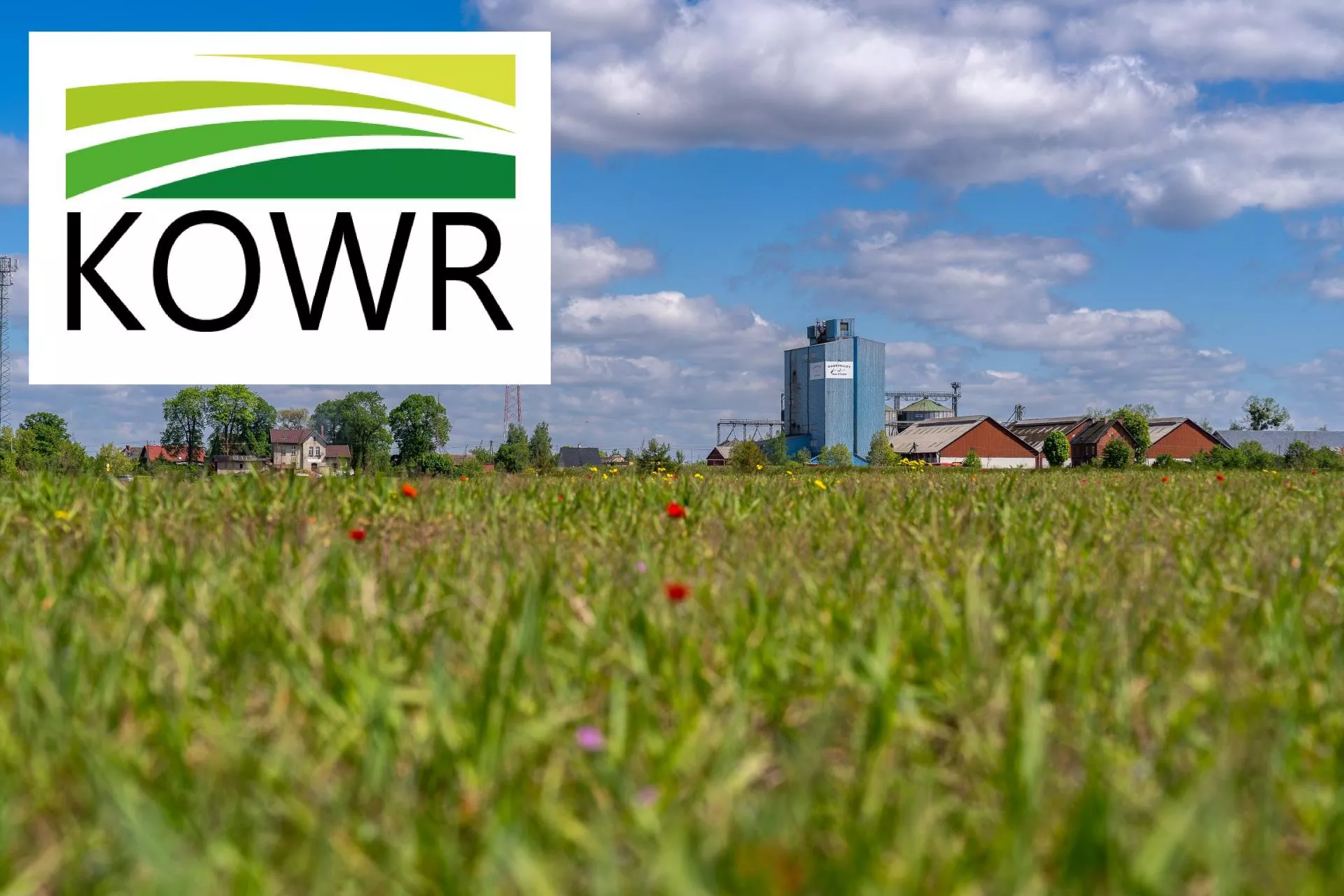 8 tysięcy hektarów na nowe OPR-y. Gdzie powstaną? Kto dostanie państwową ziemię?