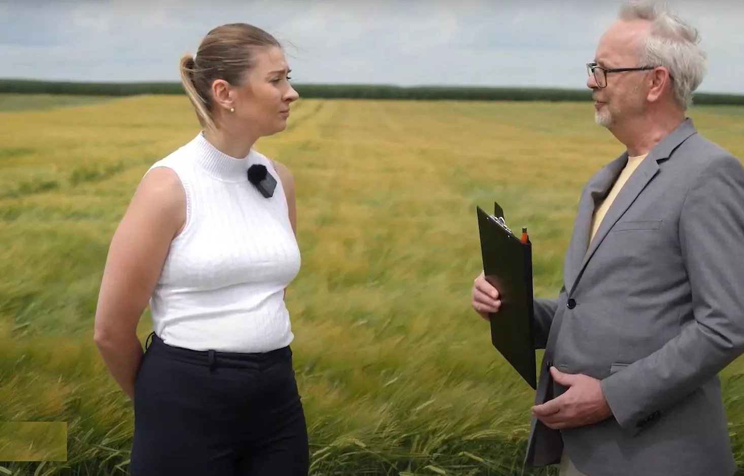 Nowe odmiany zbóż i traw. Co oferuje rolnikom Małopolska Hodowla Roślin? [WIDEO]