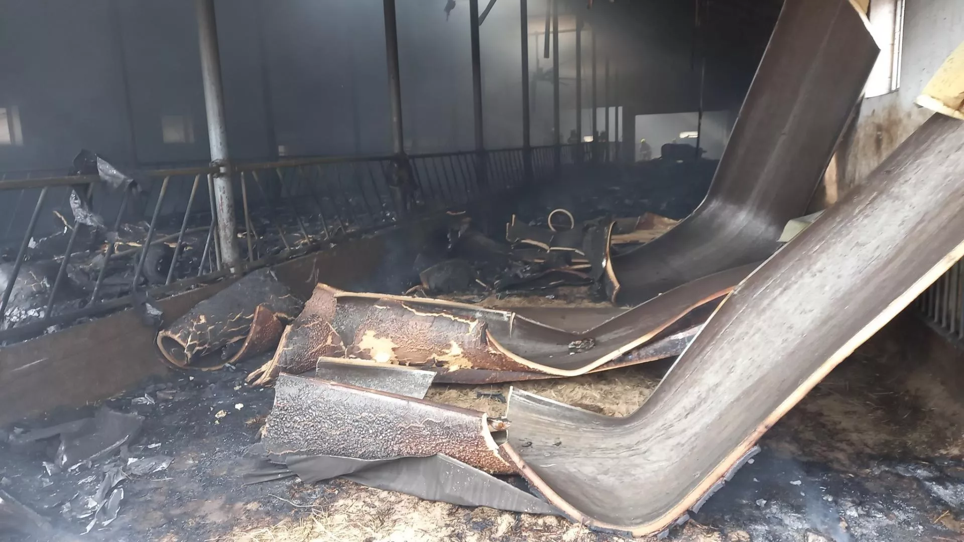 Ogromny pożar obory pod Białymstokiem. Spłonęło 30 krów