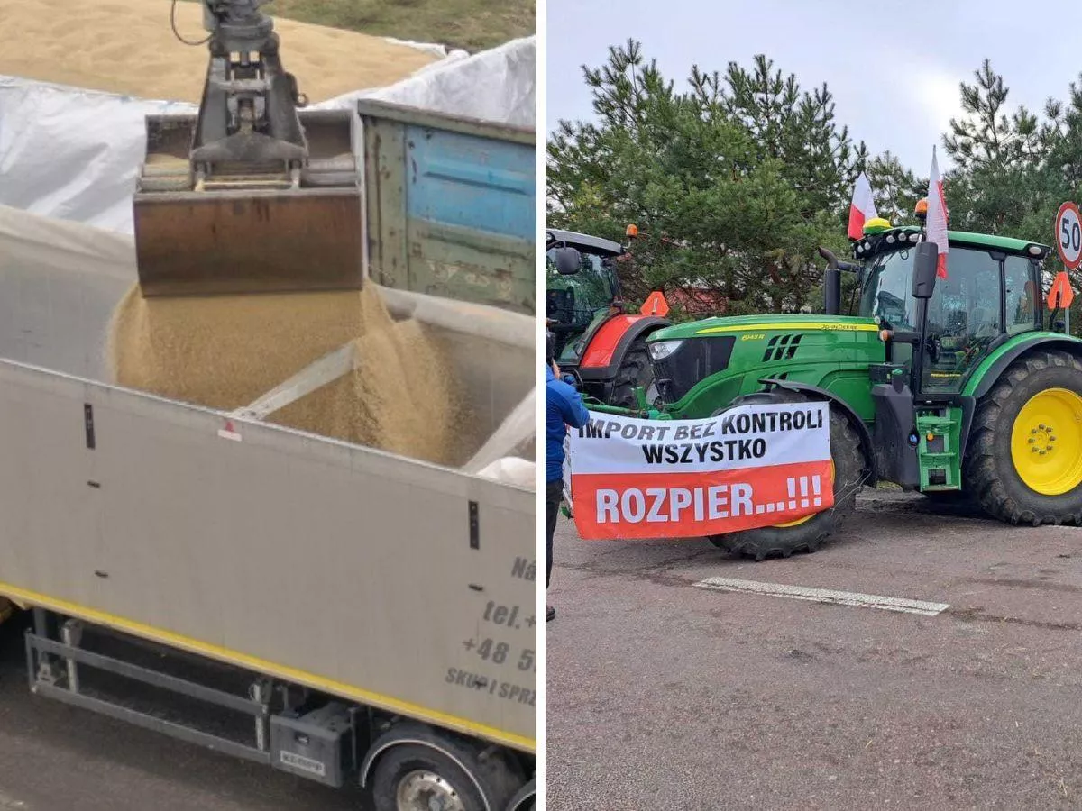 Masowy import z Ukrainy? Rolnicy ostrzegają: nowe przepisy to umożliwią