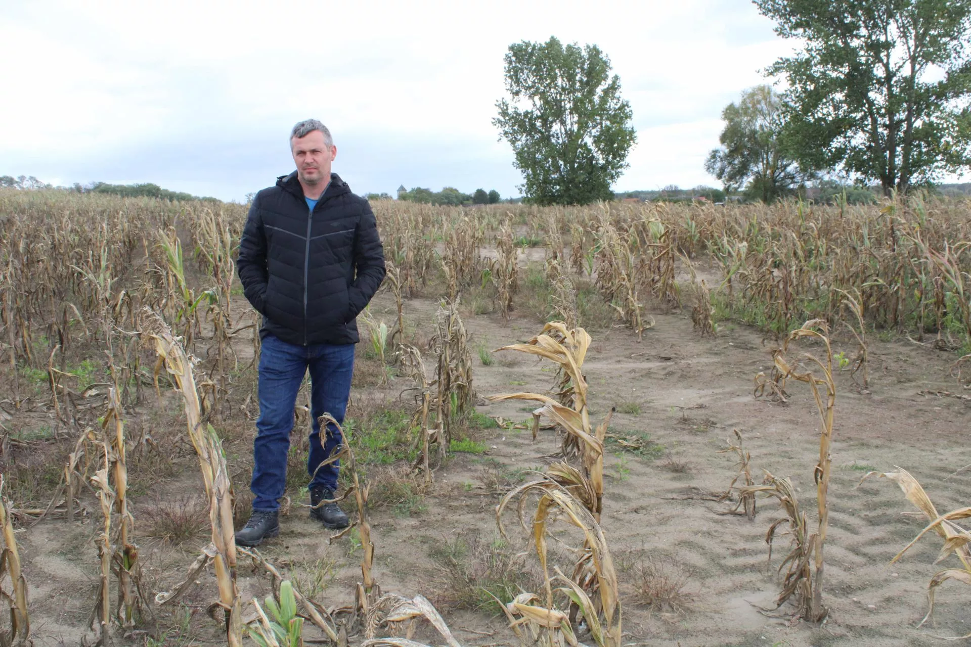 Rolnik spod Słubic oszukany w biały dzień. I to zgodnie z prawem