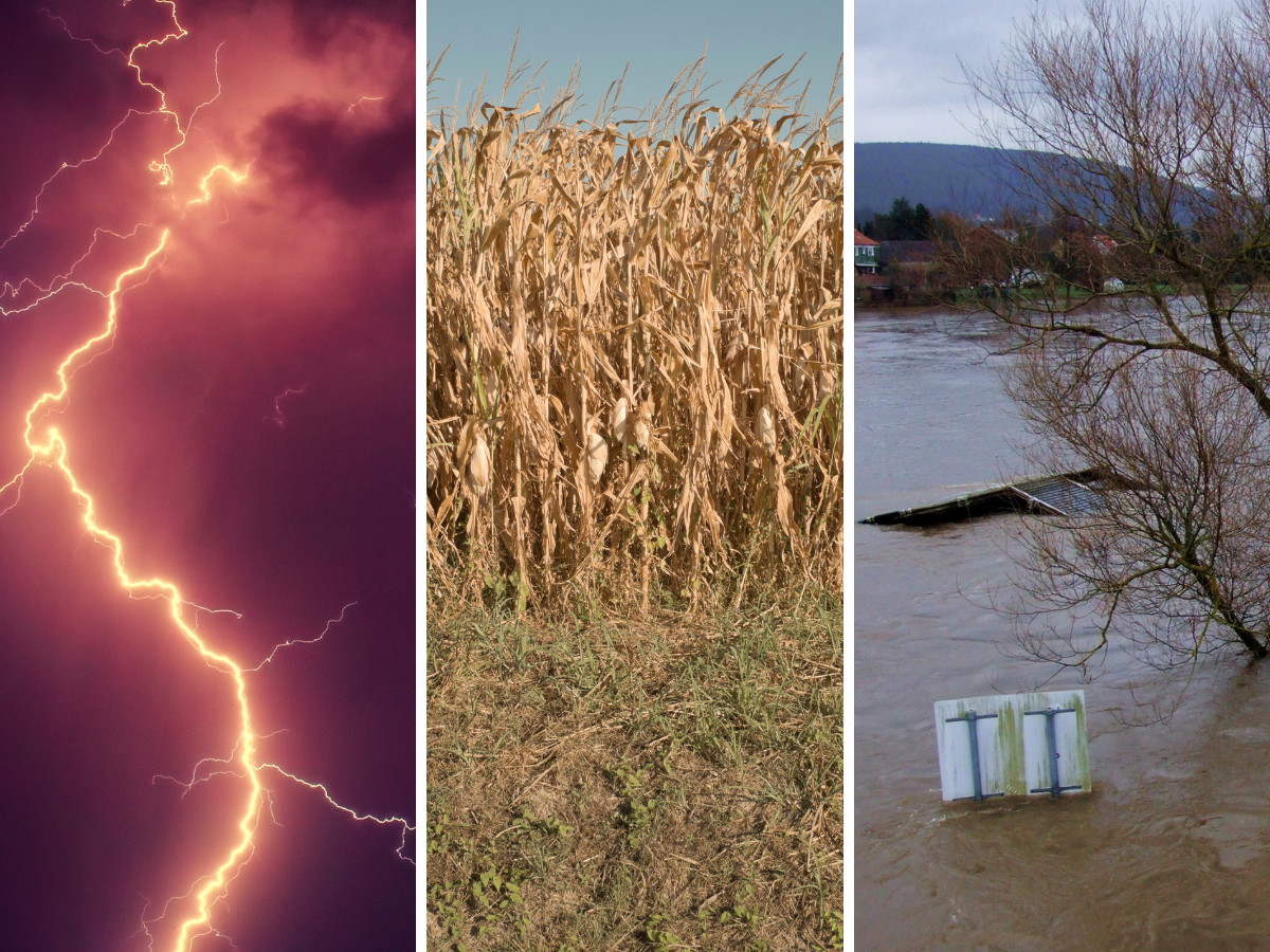 Burze, susze, powodzie. Kto nas przed tym ochroni?