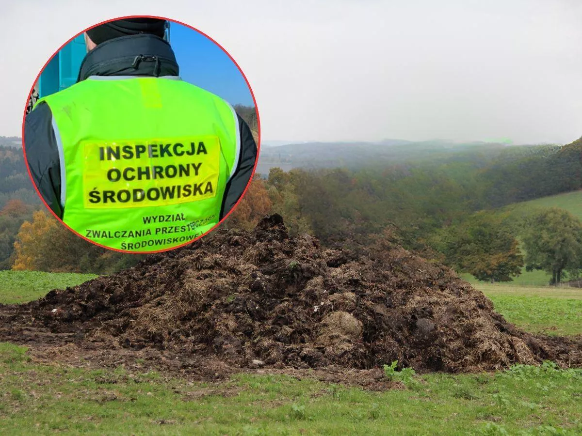 Inspektorzy wchodzą do gospodarstw. Co kontrolują? Jakie kary dla rolnika?