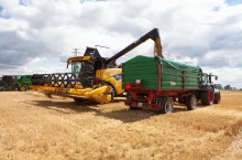 Chcesz SMS-y z cenami zbóż i rzepaku? Sprawdź „Żniwne Pogotowie Cenowe”