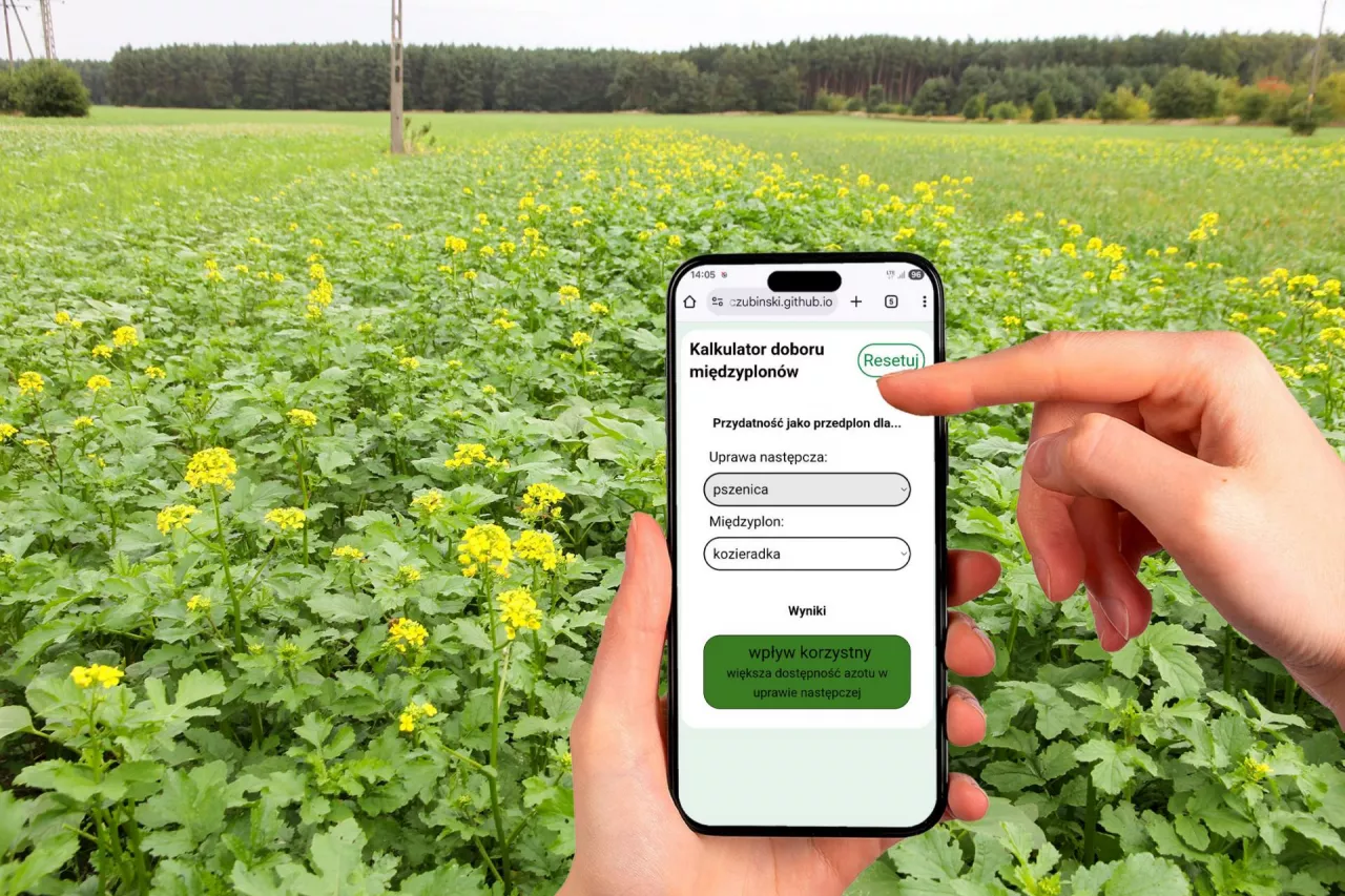 Kalkulator doboru międzyplonów top agrar Polska