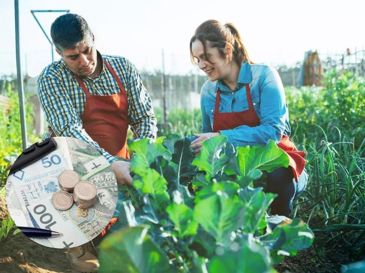 Nawet 120 tys. zł dla rolników. Rząd zapowiada nowe dotacje