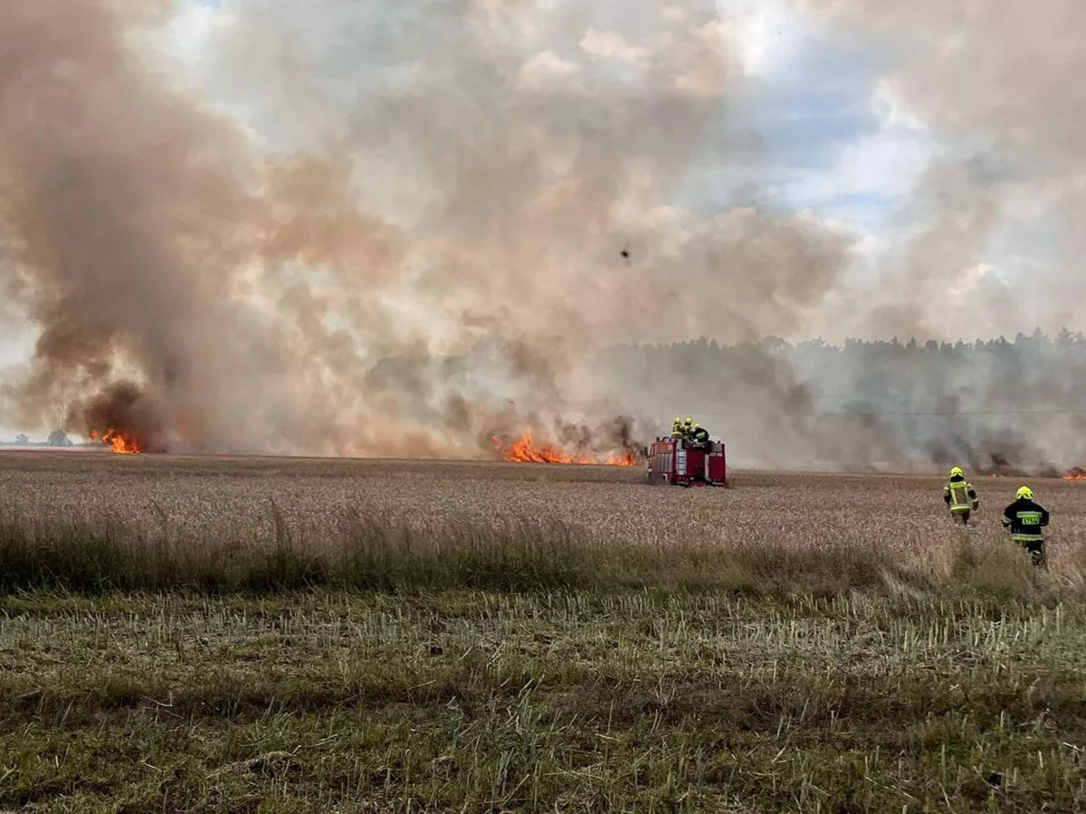 Dramatyczny początek żniw. Spłonęło 10 hektarów zboża
