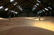 Tych środków ochrony roślin nie kupisz przez internet. Rząd wprowadza zakaz